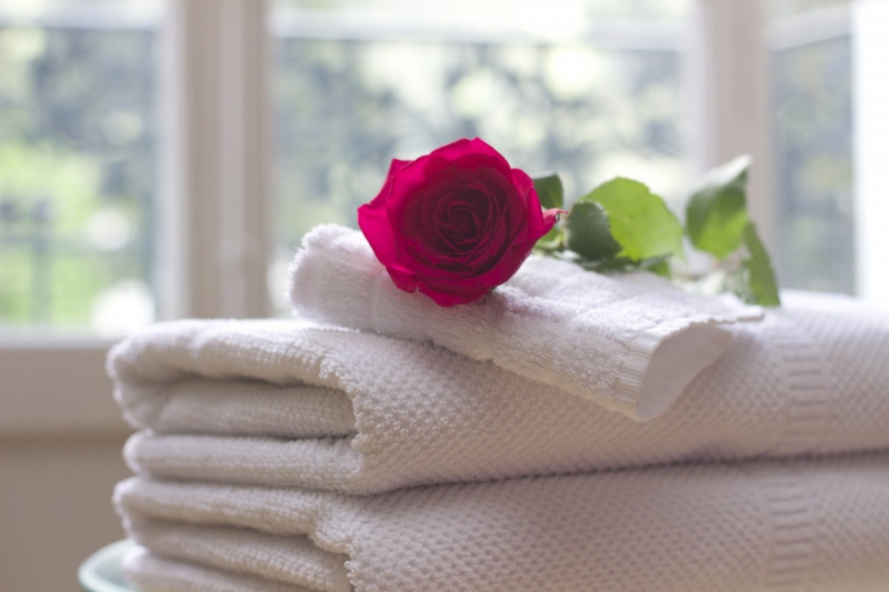 chambre-hote-LE CANNET DES MAURES-min_towel_rose_clean_care_salon_spa_white_bath-731641